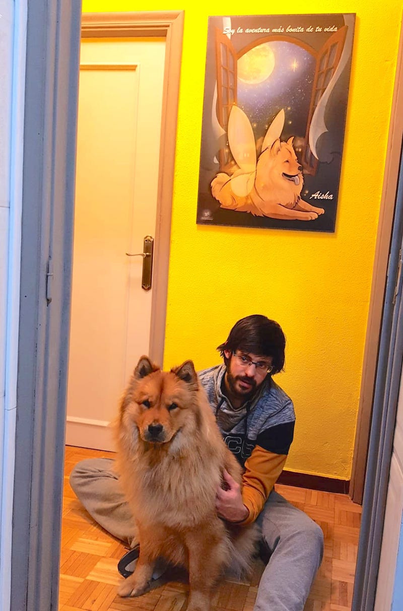 Ilustración - Caricatura personalizada - Transformando tu perrita en hada - tuvidaencomic.com - BEN - 0